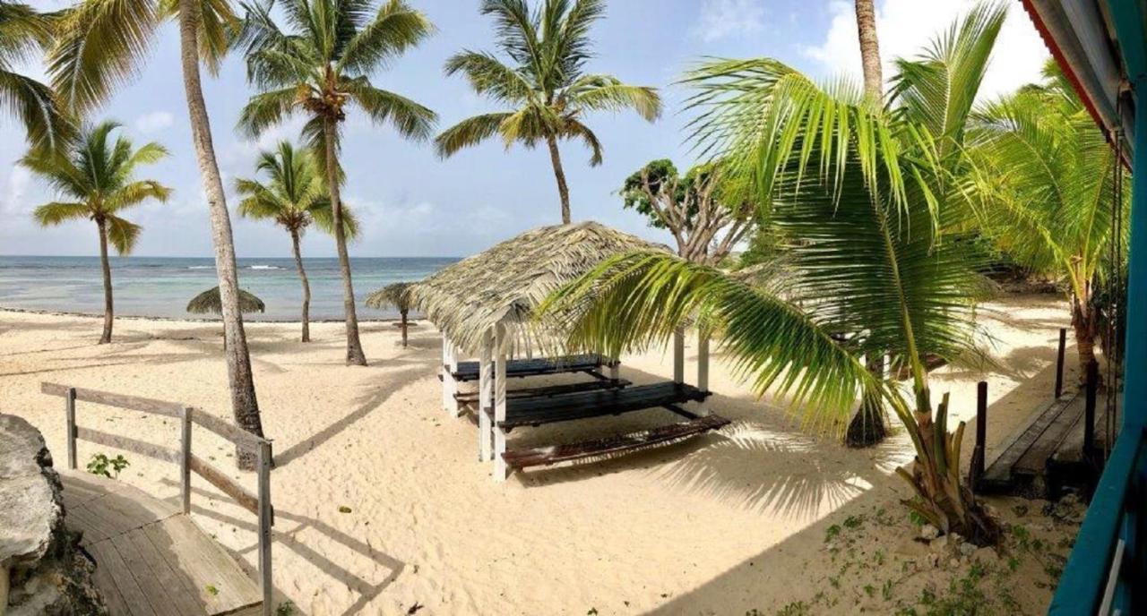 Studio Mojito Vue Mer,Piscine Avec Cuve Eau Et Acces Plage Et Piscine Anse Des Rochers Сен-Франсуа Экстерьер фото